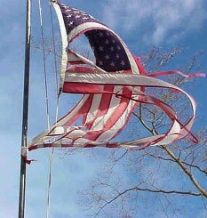 tatteredusflag 233x245 custom The New Global Aristocratic Class & the Decline of Free Enterprise