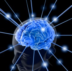 brain 763982 11 242x241 custom The Chemistry of Genius?