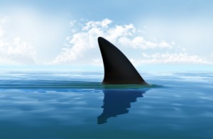 sharkfin 300x196 Defeating the Sharks In Your Head