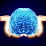 braininhands copy